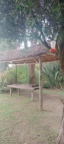 Casa En Venta Primera Seccion Delta Tigre
