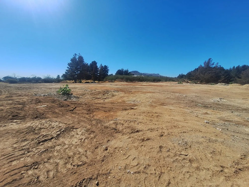 Terreno Industrial 2.500 M² En Camino Internacional