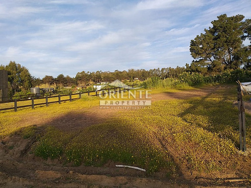 Oferta Sitios En Condominio Punta De Lobos Pichilemu