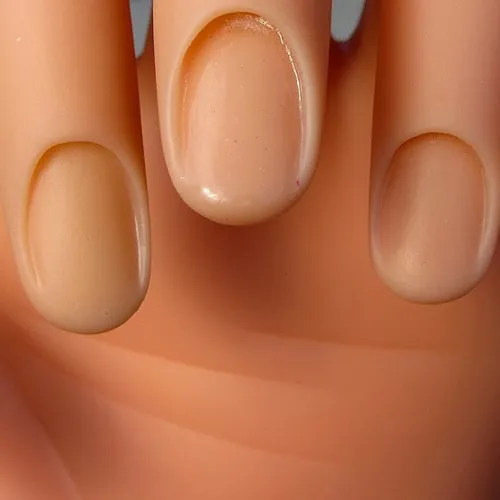 Mano De Practica Manicuria Con Soporte Uñas Esculpidas Nice