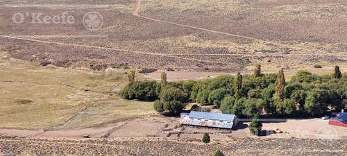 Campo Estancia En Venta De 5300 Has En Patagonia Bariloche.