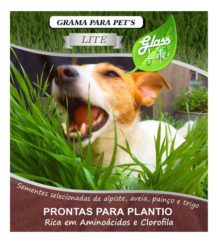Kit C/ 4 Sementes De Grama P/ Cachorro Lite - Sem Agrotóxico