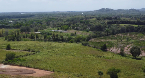 100 Tareas En Venta En Monte Plata