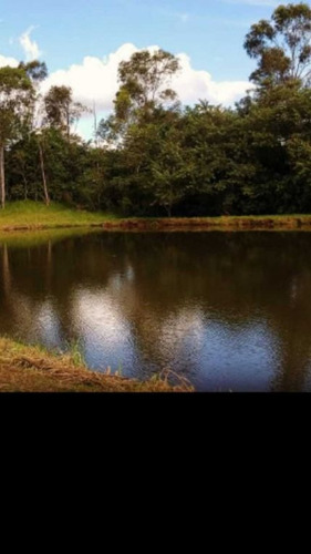 Ótimo Haras Com 41 Hectares Com 23 Baias 3.000,000,00 - 39282