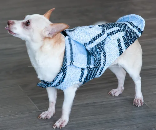 Sueter de jerga para perro new arrivals