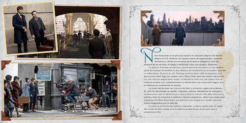 Imagen 7 de 9 de Wizarding World: Newt Scamander. Un Álbum De La Película
