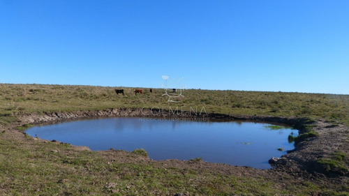 Imagen 3 de 17 de Campo Cerca Ruta 39 En Las Cañas - San Carlos