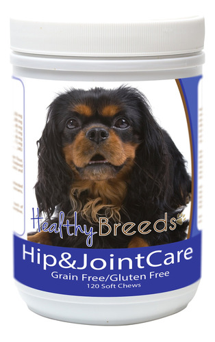 Healthy Breeds Spaniel De Ju - 7350718:mL a $213990