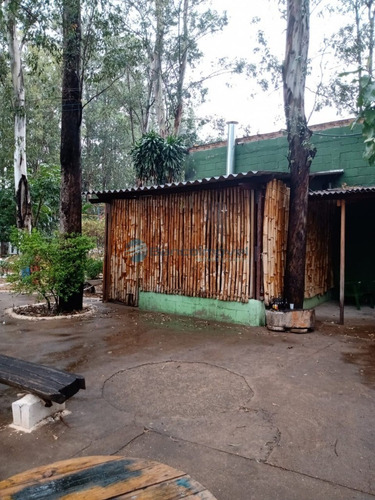Imagem 7 de 26 de Apartamento Para Venda E Locação Em Campinas - Ap03177 - 69274041