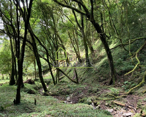 Imagem 10 de 25 de Excelente Terreno Com Cachoeira, Á Venda Em Bom Retiro Sc - Te00033 - 70480671