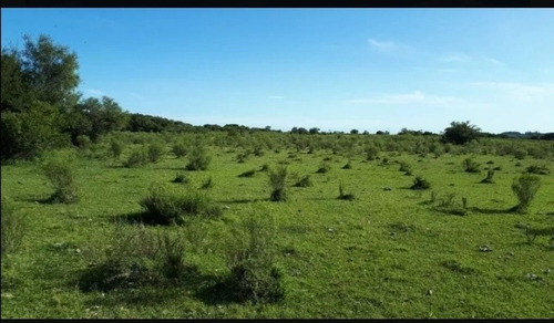 Imagen 2 de 7 de Campo En Venta Tala, Exelente Oportunidad