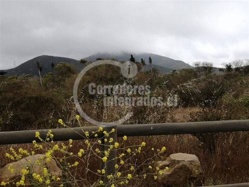 Imagen 8 de 19 de Sitio En Venta En Rocas Del Mar, Los Molles