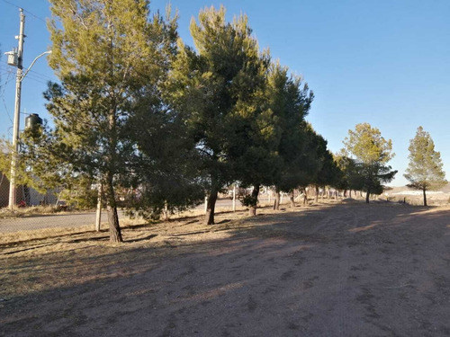 Imagen 6 de 17 de Terrenos En Venta Zona Reliz Chihuahua