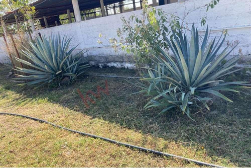 Venta De Increíble Rancho Al Mejor Precio En Tetecala, Morelos,ideal Para Inversionistas Y Ganad...