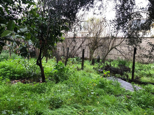 Terreno En Excelente Sector Ideal Para Proyecto Inmobiliario