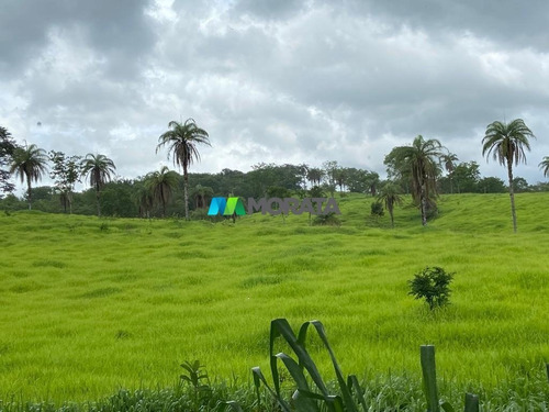 Imagem 8 de 15 de Fazenda - Zona Rural - Ref: 5345 - V-mta5345