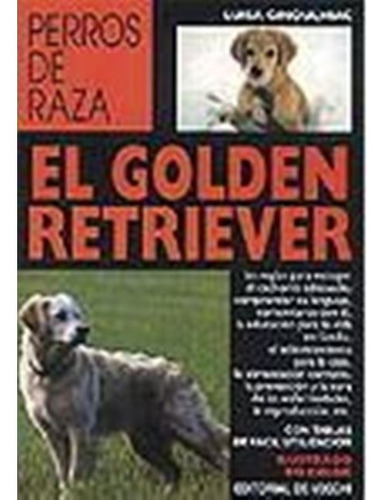 El Golden Retriver - Perros De Raza