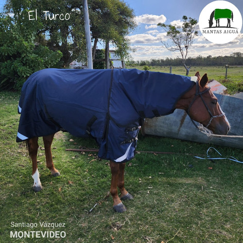 Manta Capa Caballo Importada (descuento Vta. Directa)
