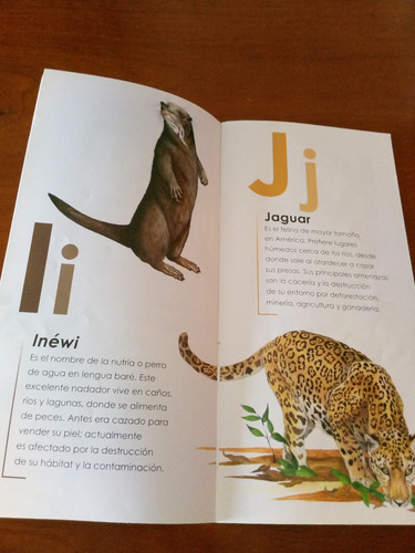 Cartilla Del Abc De Las Especies Amenazadas (Usado)