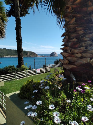 Imagen 15 de 19 de Condominio Pinares Del Canelillo, Algarrobo.