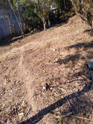 Imagem 4 de 27 de Terreno À Venda, 1097 M² Por R$ 213.000 - Aralú - Santa Isabel/sp - Te0928