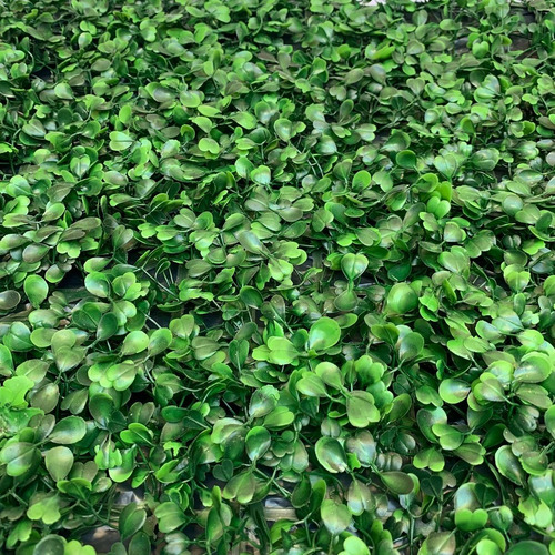 Plantas Artificiales, Lady Pía, Lamina Pasto