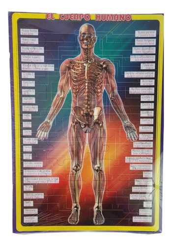 Rompecabezas Bilingue Anatomía Humana 45 Pcs