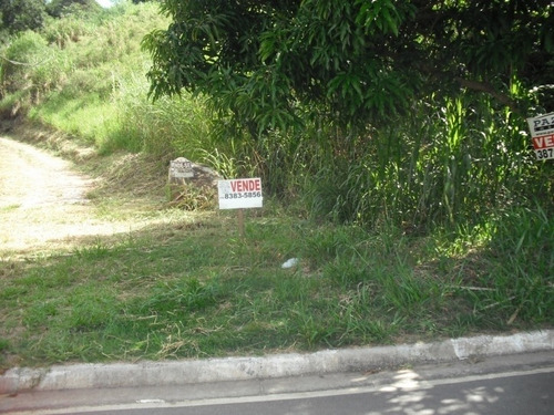 Imagem 3 de 4 de Terreno Para Chácara - 260