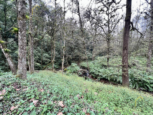 Rancho En Venta En Rancho Viejo Xolostla 10 Minutos De Xalapa Zona Coapexpan.
