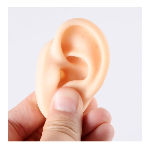 Imagen 4 de 6 de Modelo Oreja De Silicona