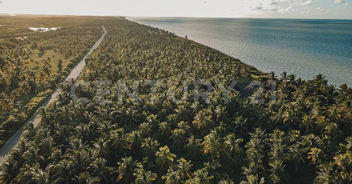 Imagen 19 de 30 de Proyecto De Lotes Residenciales En Telchac Puerto, Yucatán