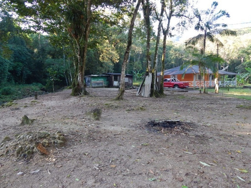 Sítio Na Praia Com 3 Dorm Com Escritura 7837