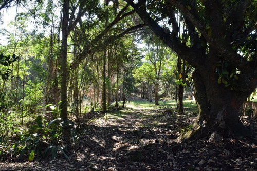 Chácara Com 2 Dormitórios À Venda, 8882 M² Por R$ 450.000,00 - Taboão - Mogi Das Cruzes/sp - Ch0086