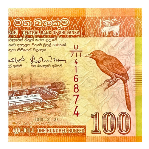 Sri Lanka - 100 Rupias - Año 2019 - P #125 - Pájaro