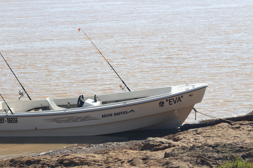 Motor Mercury 50 Hp 4 Tiempos