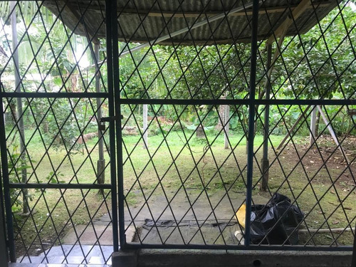 Imagen 17 de 23 de Vendo, Cambio, O Financio Propiedad En San Luis Guácimo, Limón 18 Millones Negociable