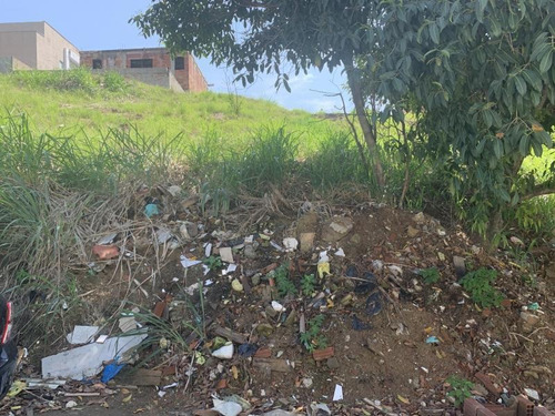 Imagem 12 de 15 de Terreno Para Venda Em Rio De Janeiro, Campo Grande - 079_2-376958