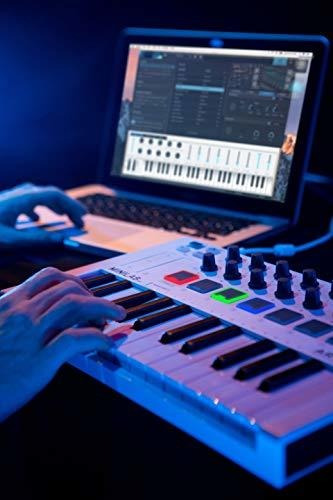 Arturia Minilab Mkll Controlador Para 25 Teclas