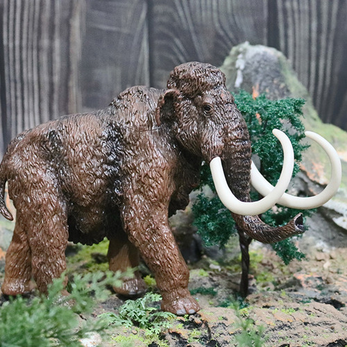 Juguete Educativo De Escritorio Con Maqueta De Animal Para N