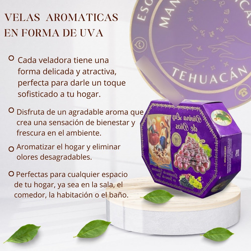 Veladoras De Uva Aromáticas Set De 12 Para El Hogar Evento Violeta Uva