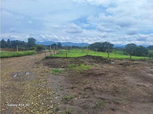 Venta Lote En Quimbaya. Quindio - Colombia Cod: 7970490