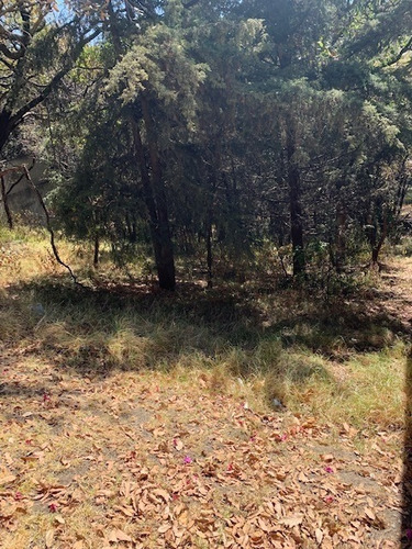 Imagen 2 de 8 de Cumbres De Santa Fe, Terreno Grande