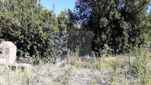 Imagen 4 de 5 de Vendo Lotes En Terrazas Del Faldeo, San Martin De Los Andes