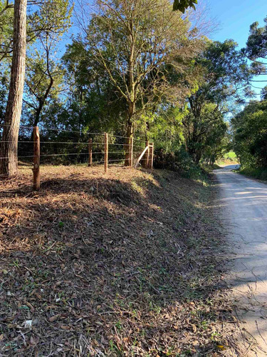 Imagem 4 de 14 de Terreno Rural - Chacrinha - Bairro Passa Dois - Lapa/pr