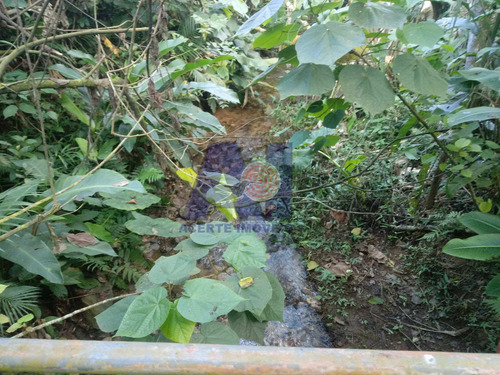 Imagem 10 de 24 de Chácara À Venda No Bairro Santa Luzia - Jaraguá Do Sul/sc - C1022