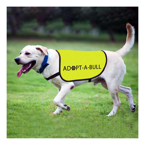 Chaleco De Chaqueta De Adopción De Perros Adopta Un Bull De Adopt-a-bull-large.
