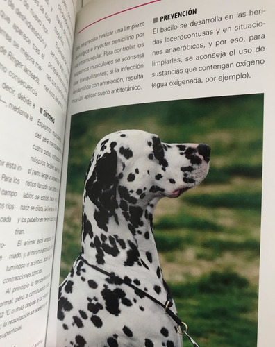Perro En Forma, Mi Perros (Usado)