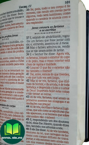 Bíblia Sagrada Dicionário E Concordância Letra Grande