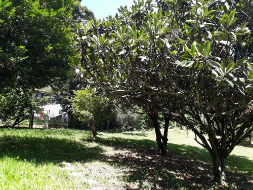 Imagem 14 de 24 de Chacara - Ch00050 - 69195142