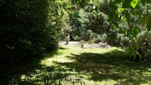 Imagen 1 de 5 de Terreno - Carumbe